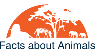 Animals from Asia | Facts About Animals