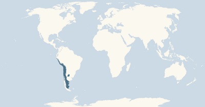 Andean condor range