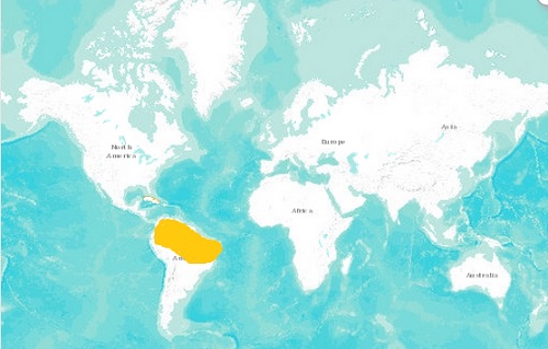Green anaconda distribution map