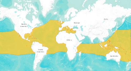 Green sea turtle distribution map