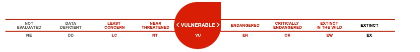 IUCN Vulnerable
