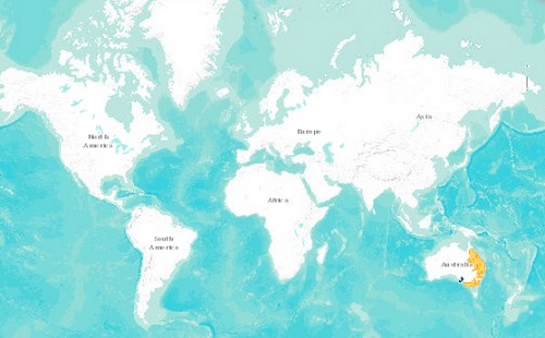 Koala distribution map