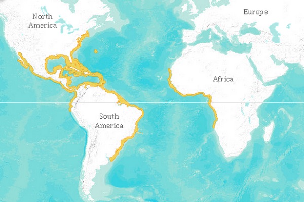 Lemon shark range