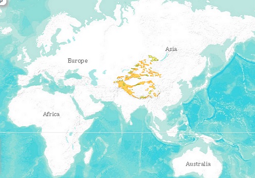 Snow leopard distribution map