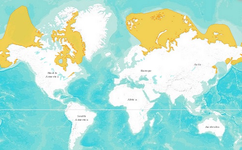 Beluga whale range map