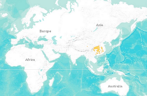 Chinese giant salamander distribution map