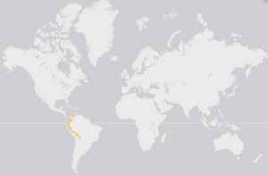 Andean or Spectacled Bear Distribution Map