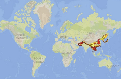 Asiatic Black Bear Distribution Map