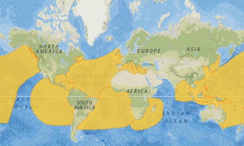 Leatherback Sea Turtle Distribution Map