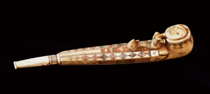 walrus-ivory-tusk